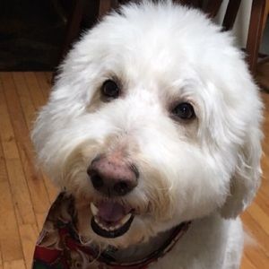 Meet your Posher, Sharon